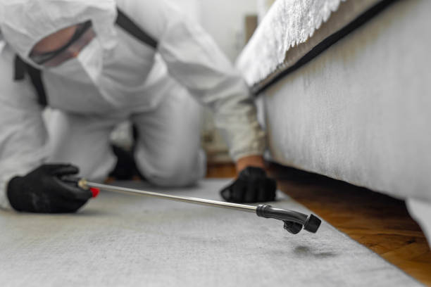 Professional Termite Control technician working in Dawsonville, GA