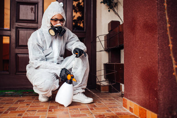 Reliable Termite Control contractor in Dawsonville, GA by Nex Pest Control