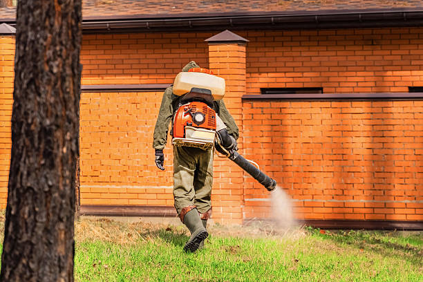 Trusted Ant Control service in Dawsonville, GA - Nex Pest Control